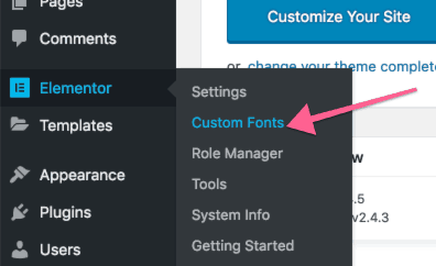 elementor custom fonts