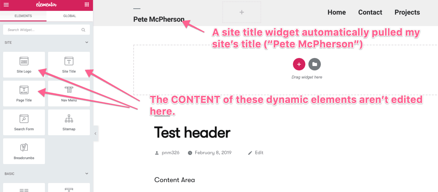 elementor dynamic content