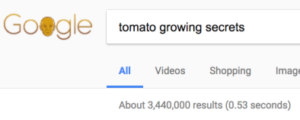 trying to rank for tomato keywords