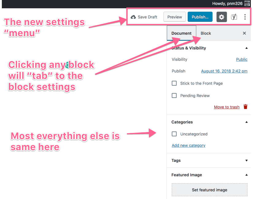 wp gutenberg post and block settings